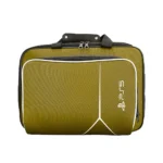 کیف PS5 برزنتی کرم