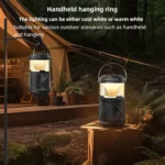 اسپیکر پرتابل پرووان مدل PROONE PSB4905 مشکی